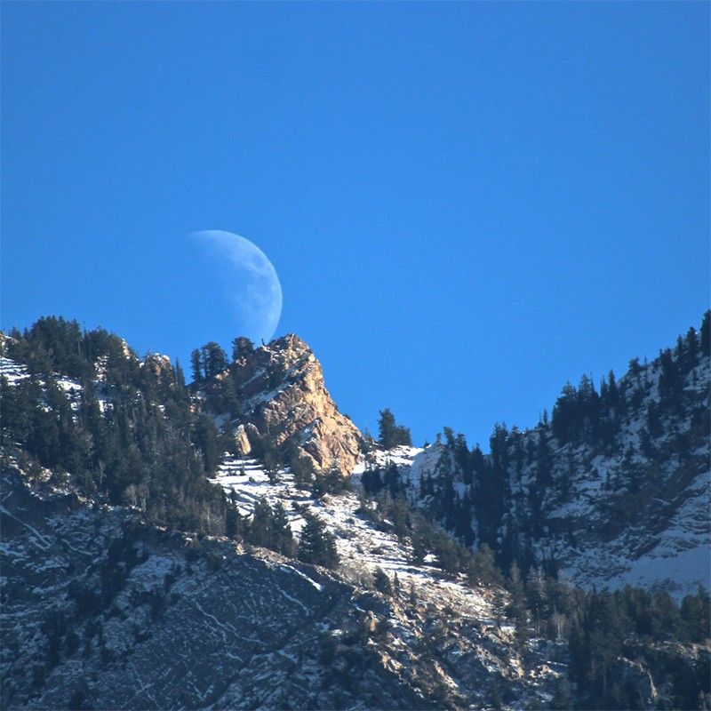 Moonrise and moonset times shift with the Moon phases. A full moon rises at sunset; a new moon is up all day.