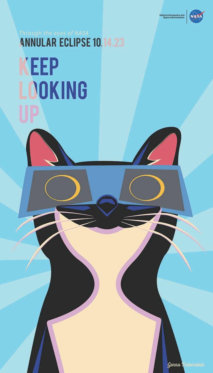A cat wearing ecipse glasses